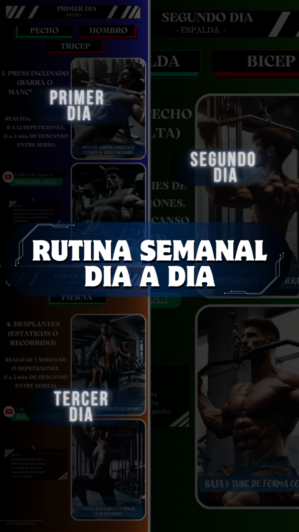 Rutina Semanal Gym - Imagen 2